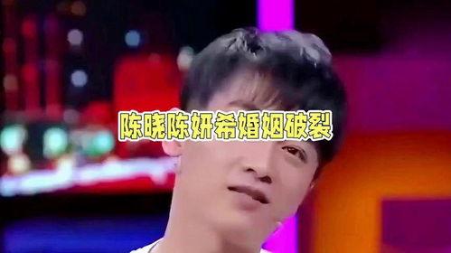 娱乐圈吃瓜陈晓图片大全